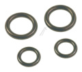Bosch Seal-gasket Set - Pressure Washer Lance Seal Kit